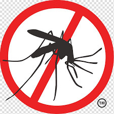 Ochrona przed komarami